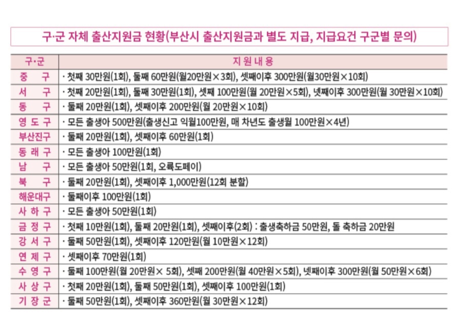 출산지원금 도표