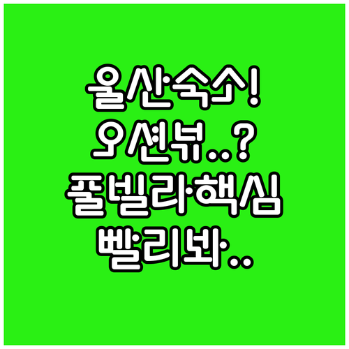울산 숙소 베스트 5곳 오션뷰 호텔부..