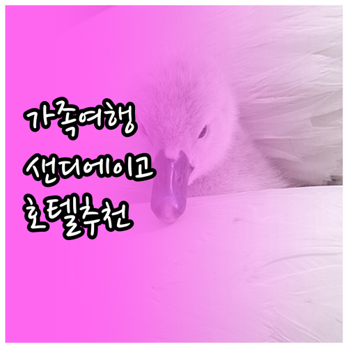 가족 여행객을 위한 샌디에이고 추천 ..