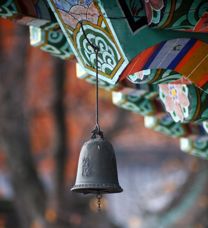국내 감성 사찰 5선 – 조용하고 예쁜 힐링 공간