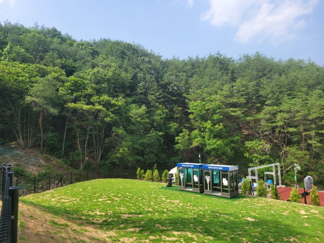 애견 동반 야영장