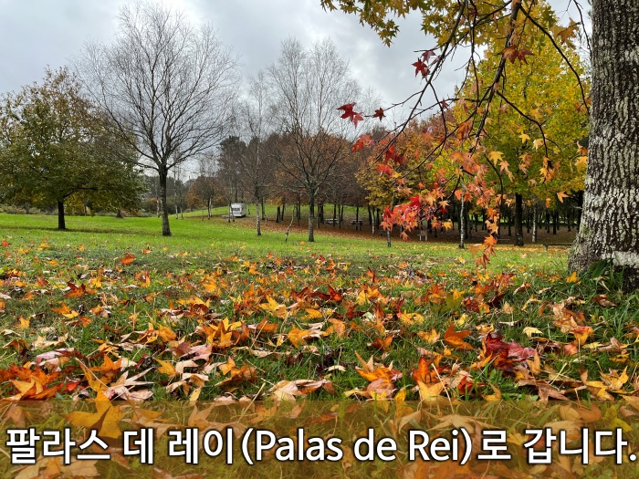 산티아고 순례길 후기, 팔라스 데 레이