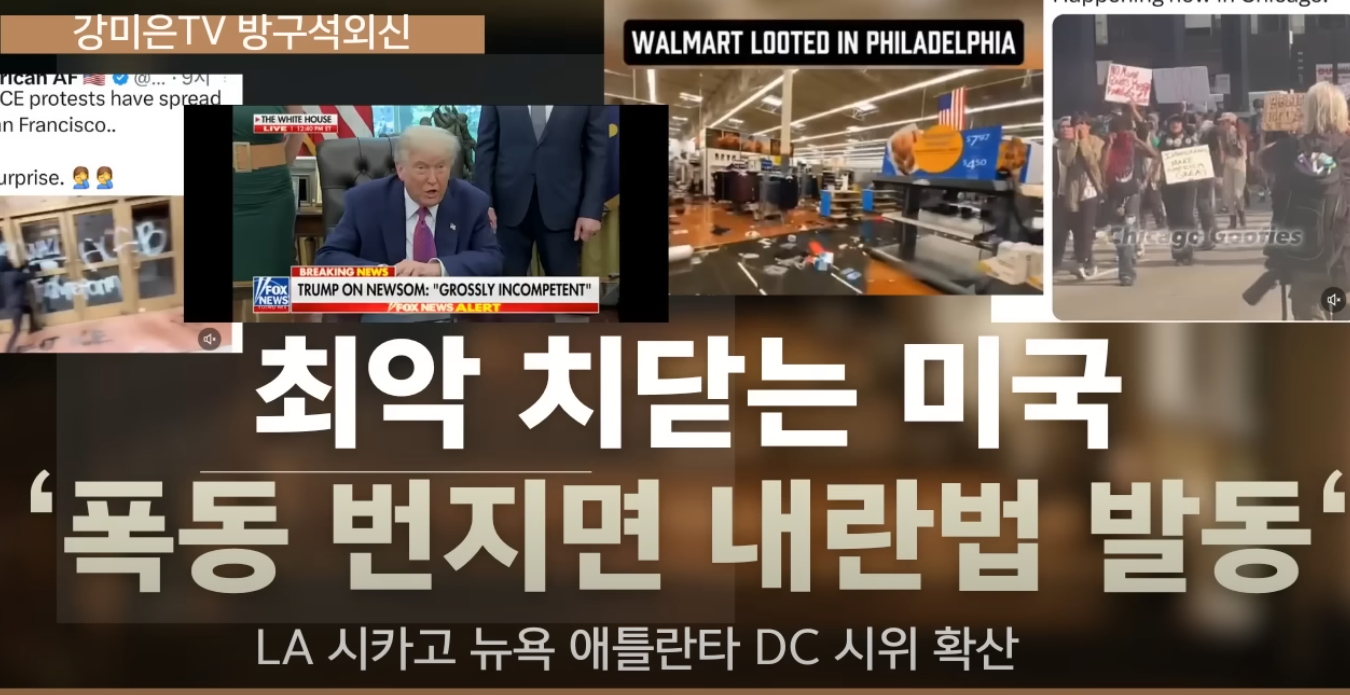 미국 내란법 완전 분석