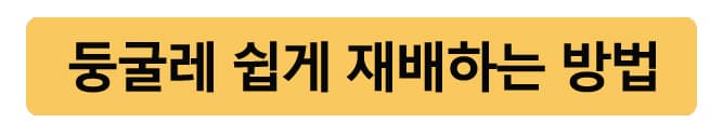 둥굴레재배방법