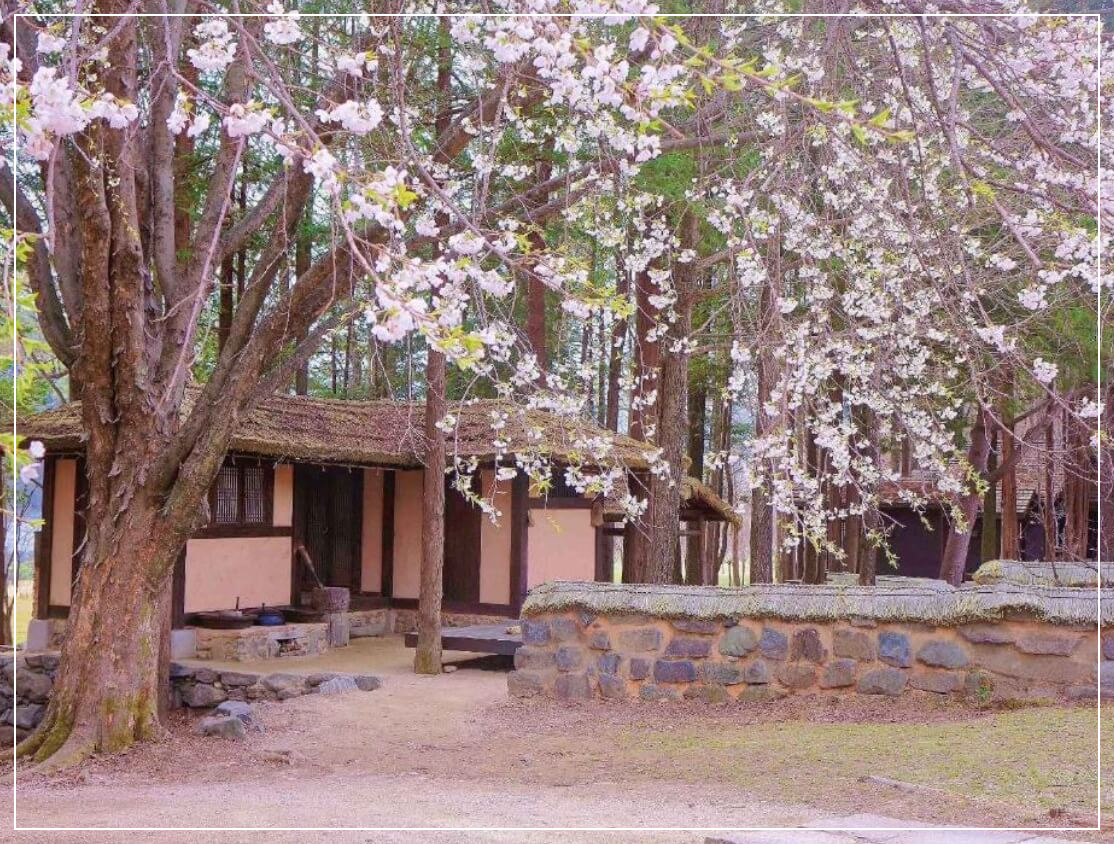 춘천 가볼만한곳 베스트10 남이섬