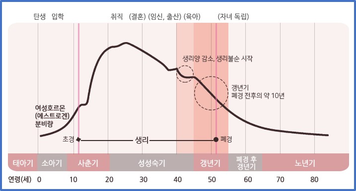 치매