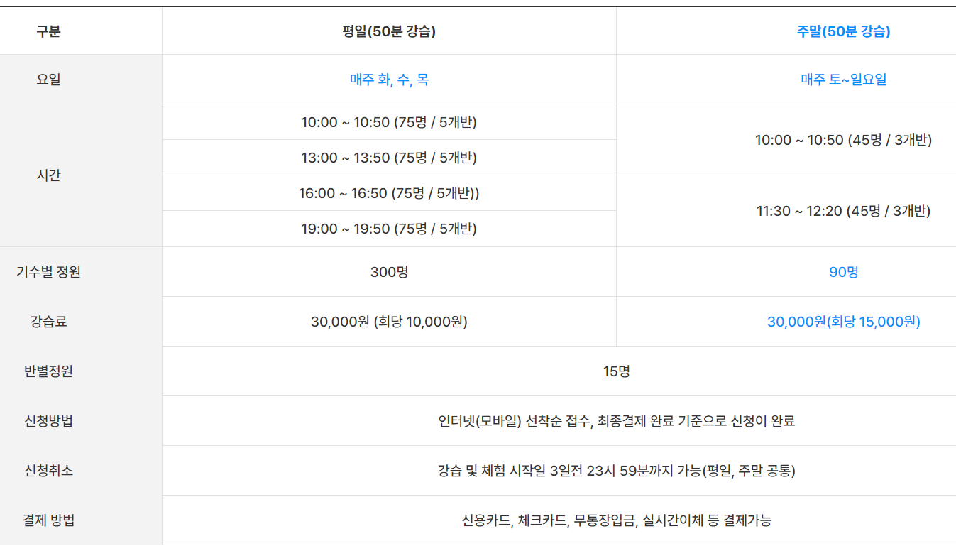 서울광장 스케이트장