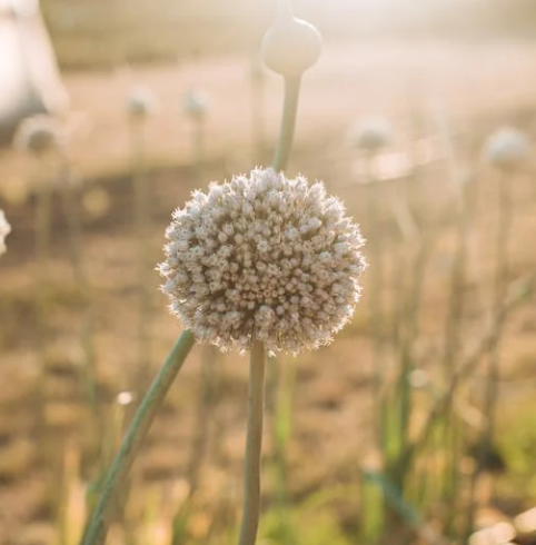 경기도 가볼만한곳 추천