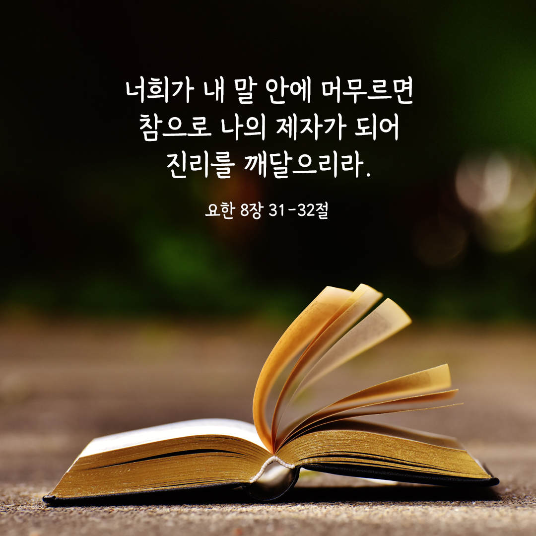 너희가 내 말 안에 머무르면 참으로 나의 제자가 되어 진리를 깨달으리라. (요한 8,31-32) 요한복음 성경 말씀 카드 이미지