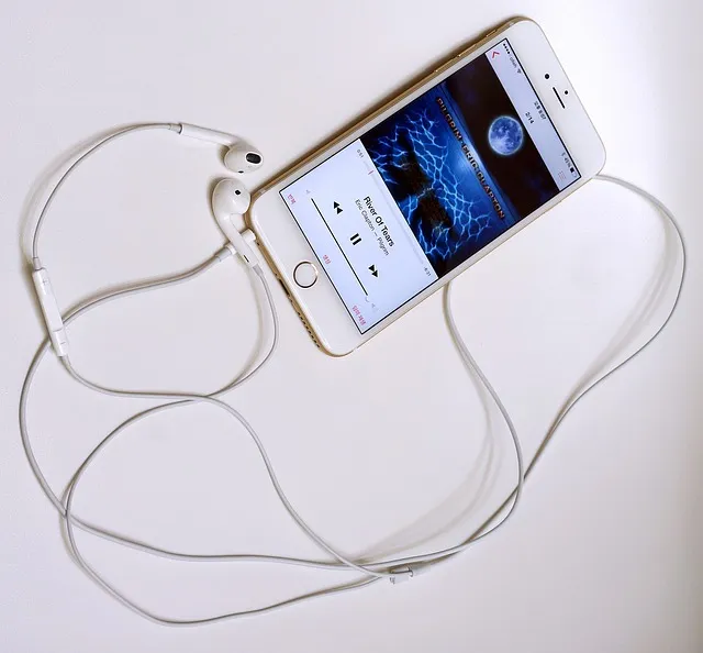 구형 휴대폰 모토로라 킥슬라이드폰 Z8M 완벽 복고 가이드_8