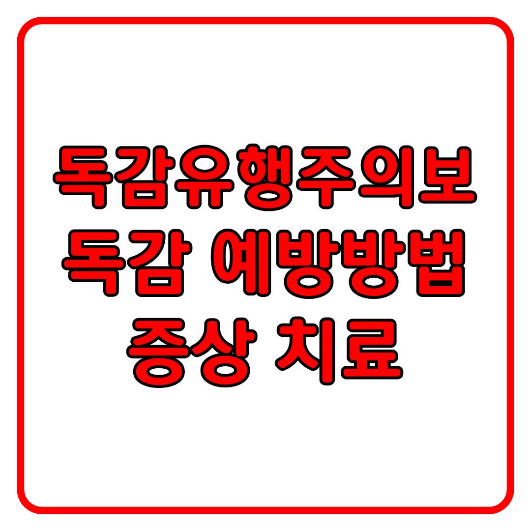 독감 예방법 증상 치료 총정리