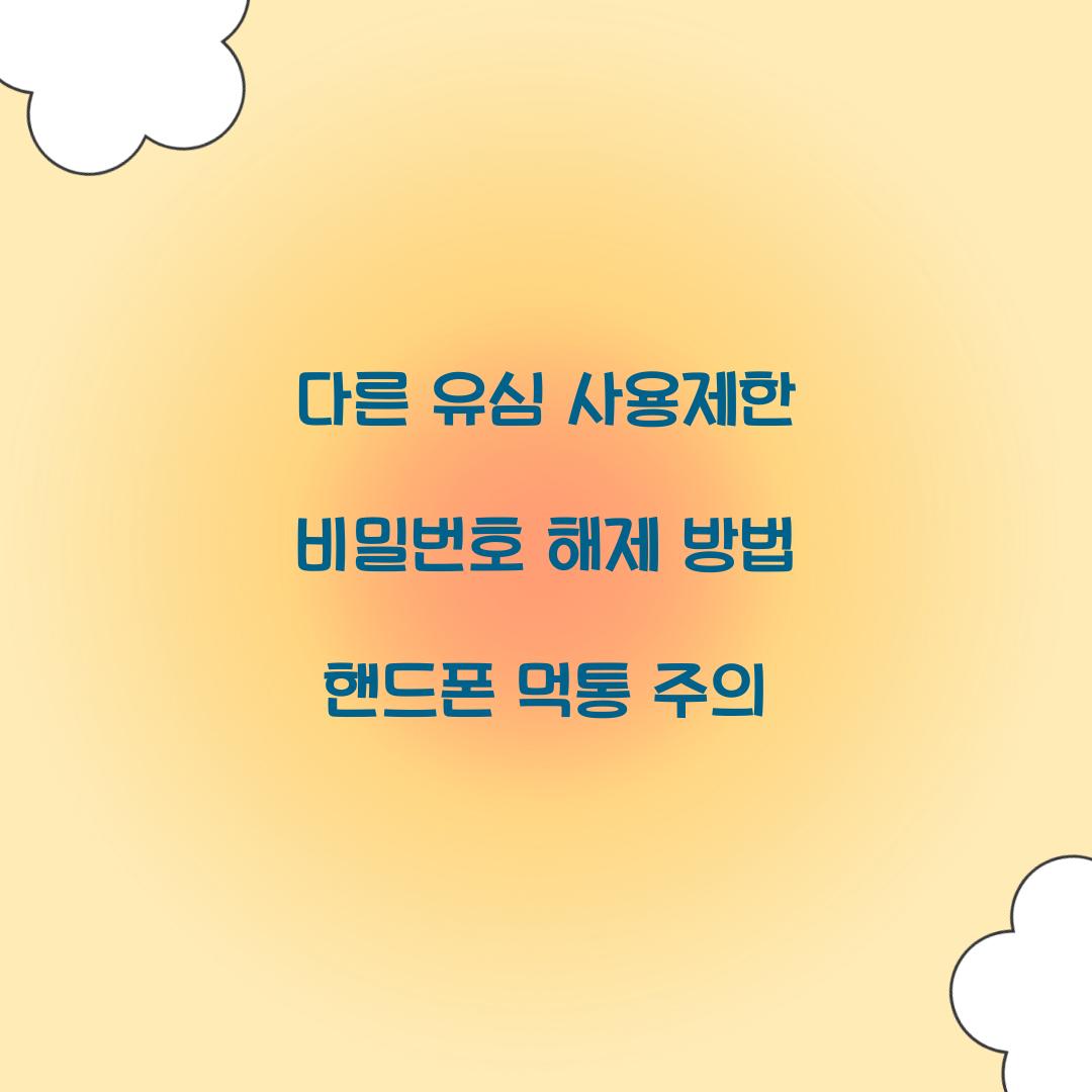 다른 유심 사용제한 비밀번호