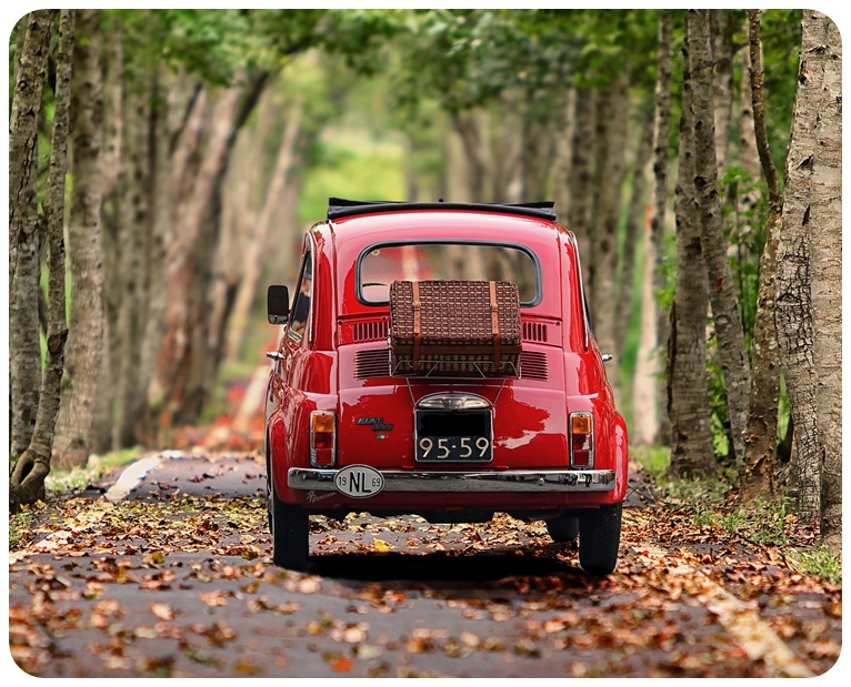 연납 할인 실질 혜택 비교