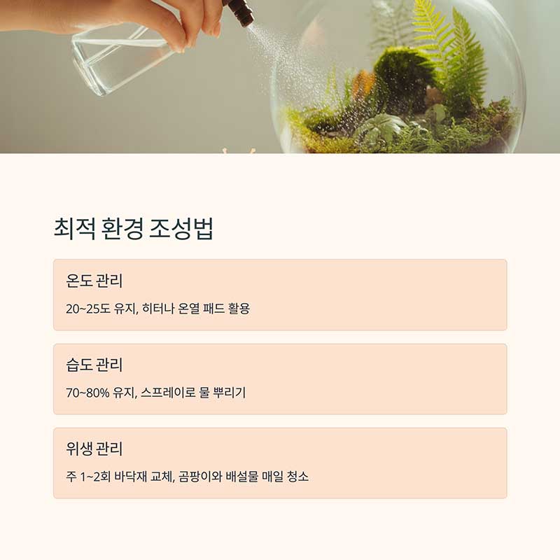 완달팽이의 최적 환경 조성법