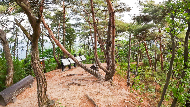 쉼터