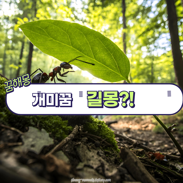 개미 꿈 해몽 20가지|재물·성실·노력의 상징들