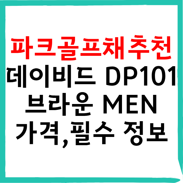데이비드 파크골프채 DP101 브라운 풀세트 가격 및 필수 정보 총정리