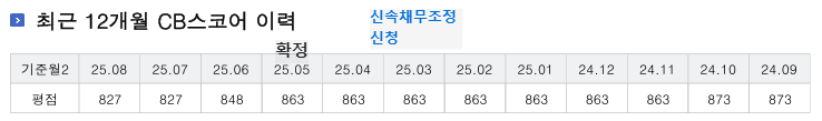 신속채무조정 신청 후 신용점수