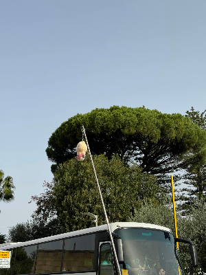 이탈리아 남부투어