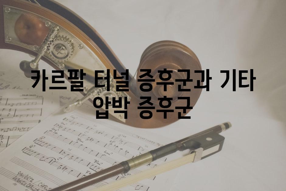 카르팔 터널 증후군과 기타 압박 증후군