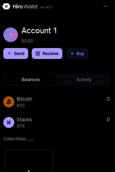HIRO WALLET3