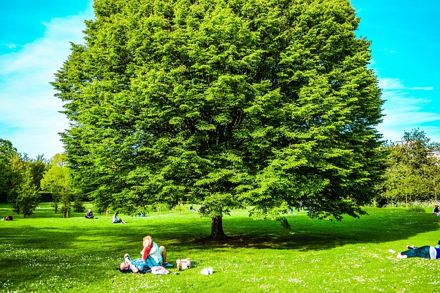 사주, 갑목일주