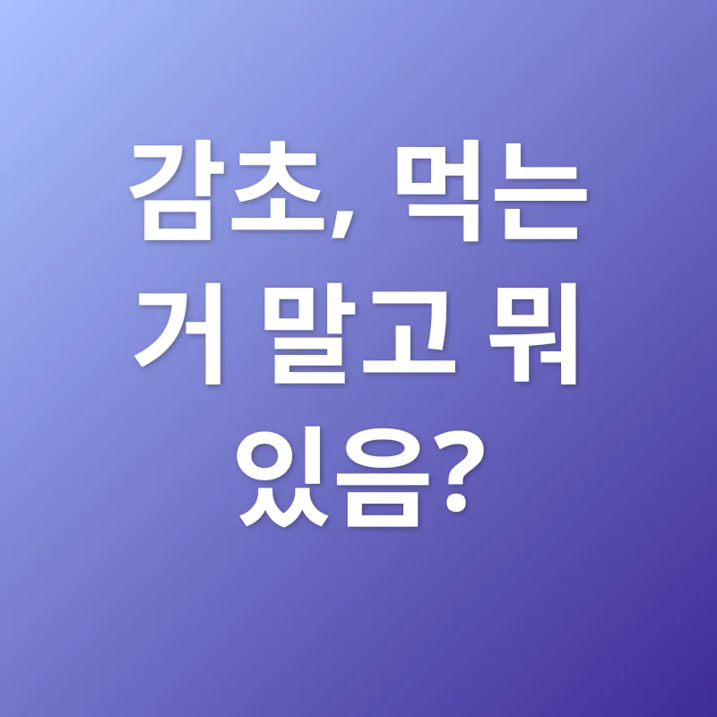 감초 활용법_1