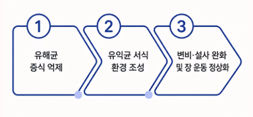 매실액기스 효능