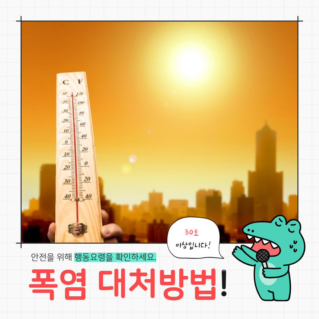 폭염 때 대처 방법 총정리