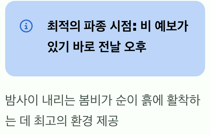 비 오는 날 '전날'이 최고의 길일