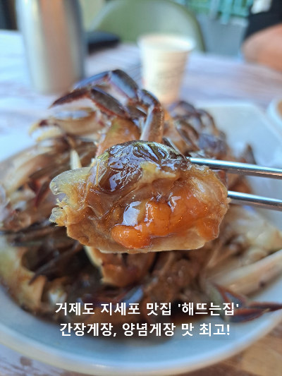 게장 맛집 간장게장 양념게장 좋아하시면 꼭~! 거제도