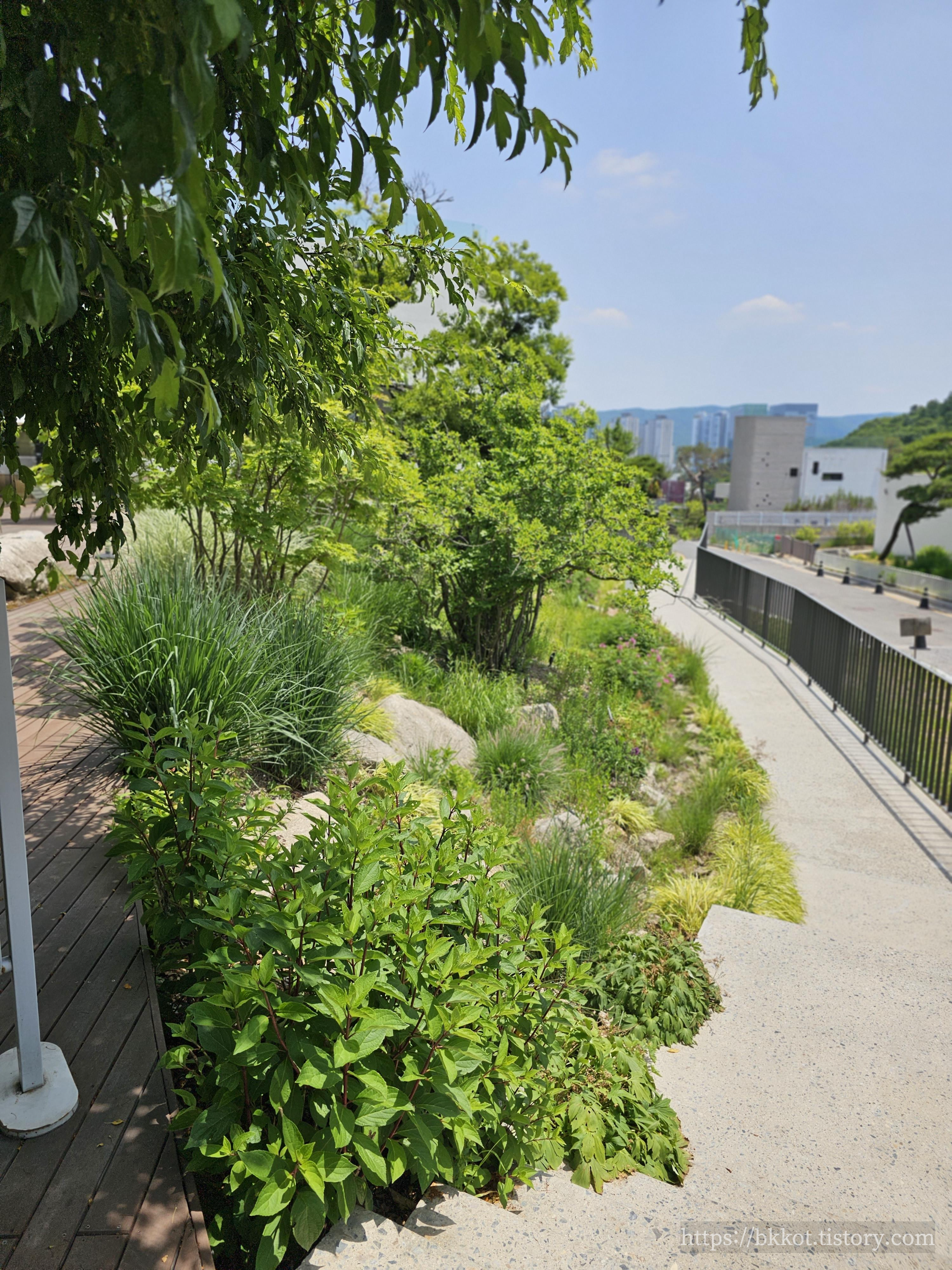 모아니 카페 사진