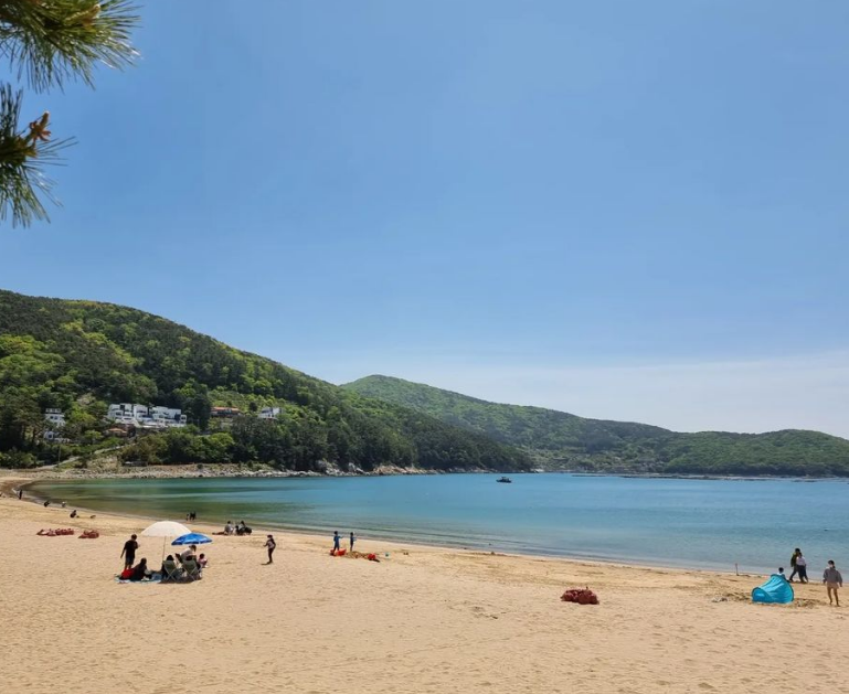 거제 와현 모래숲 해변2