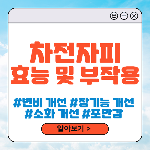 차전자피 주요 효능 및 부작용
