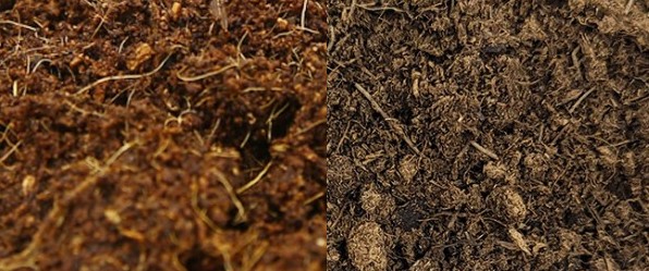 코코피트와 피트모스 차이 - 장점·단점·사용법·가격 비교