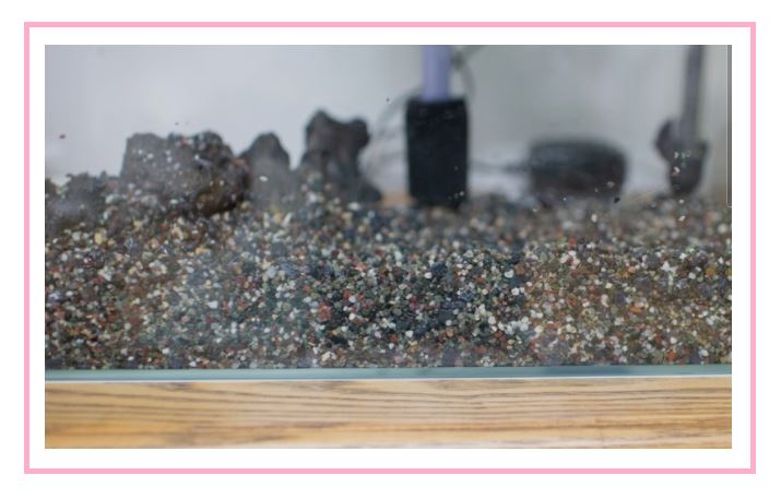 어항 바닥제 사용하는 이유