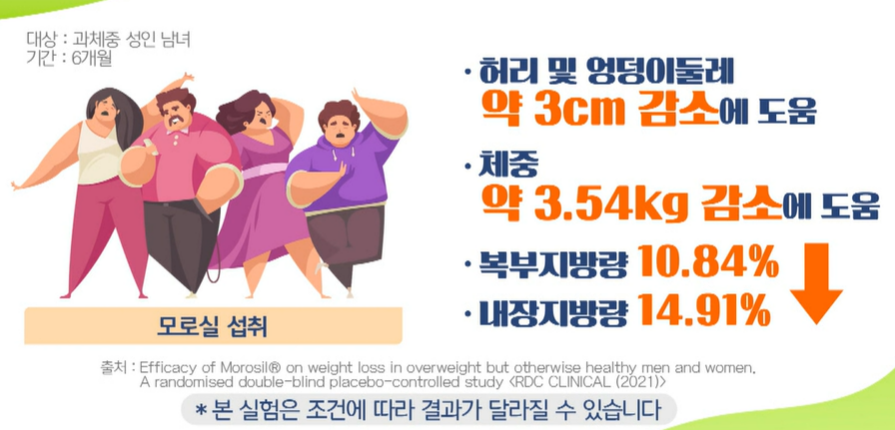 모로실 효능