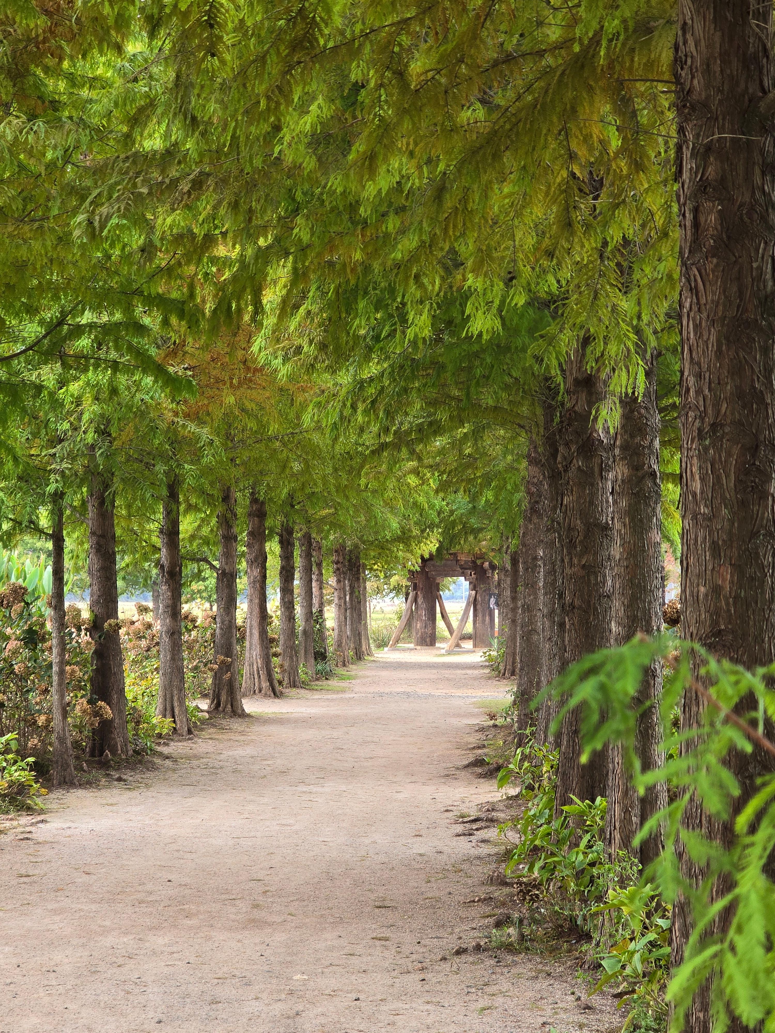 청산 수목원 방문기