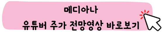메디아나-주가-전망-배당금-알아보기