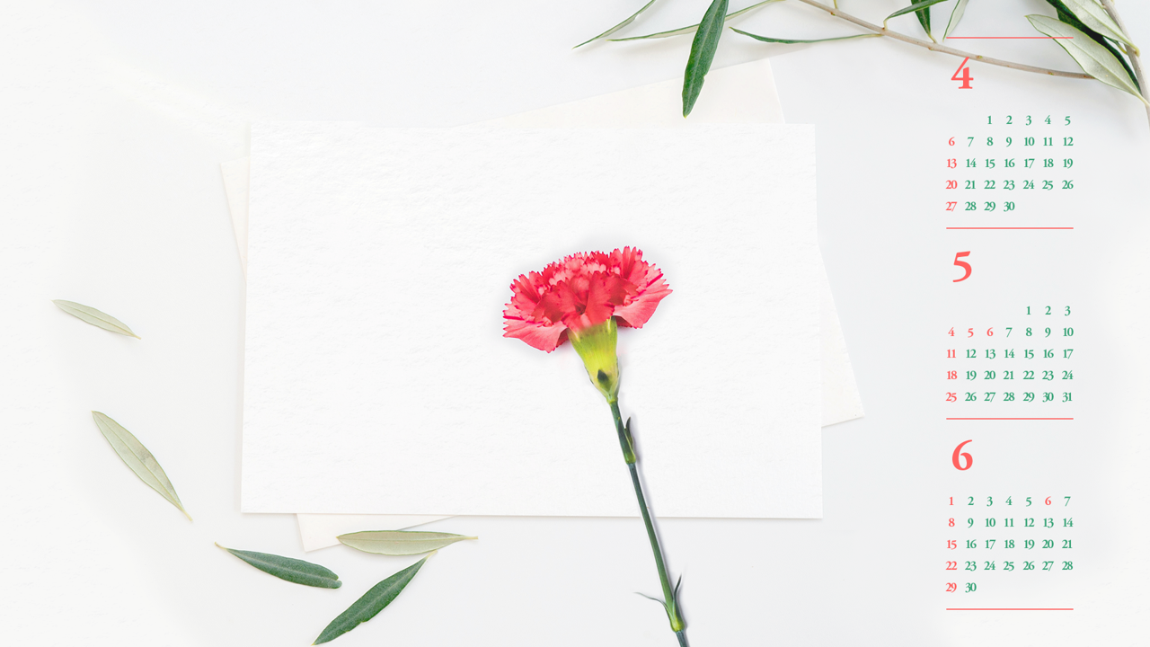 05 카네이션 B - 2025년5월 노트북배경화면