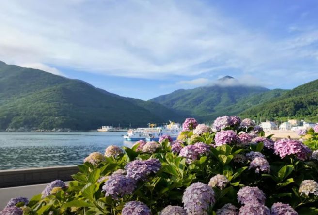 7월 국내 꽃축제 총정리