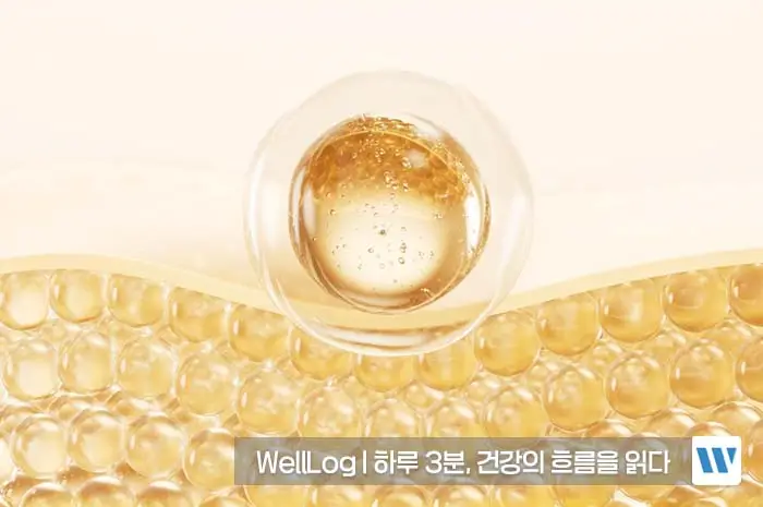 리포좀 비타민C 효능 복용법
