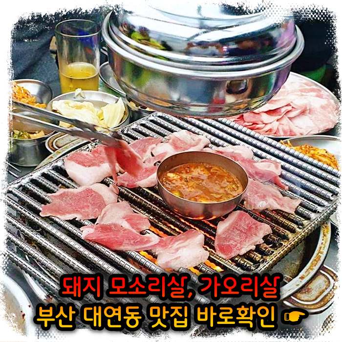 모닝 투데이 부산 대연동 모소리살, 가오리살 맛집