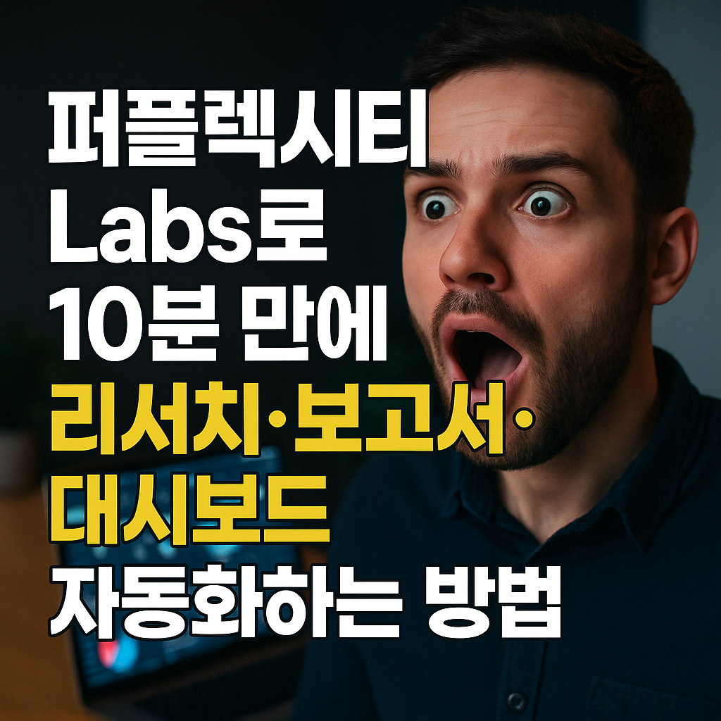 퍼플랙시티 랩스