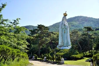 천진암 흰민들레 백양자연관찰로 괭이눈 개화_24