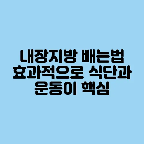 내장지방 빼는법 효과적으로 식단과 운동이 핵심