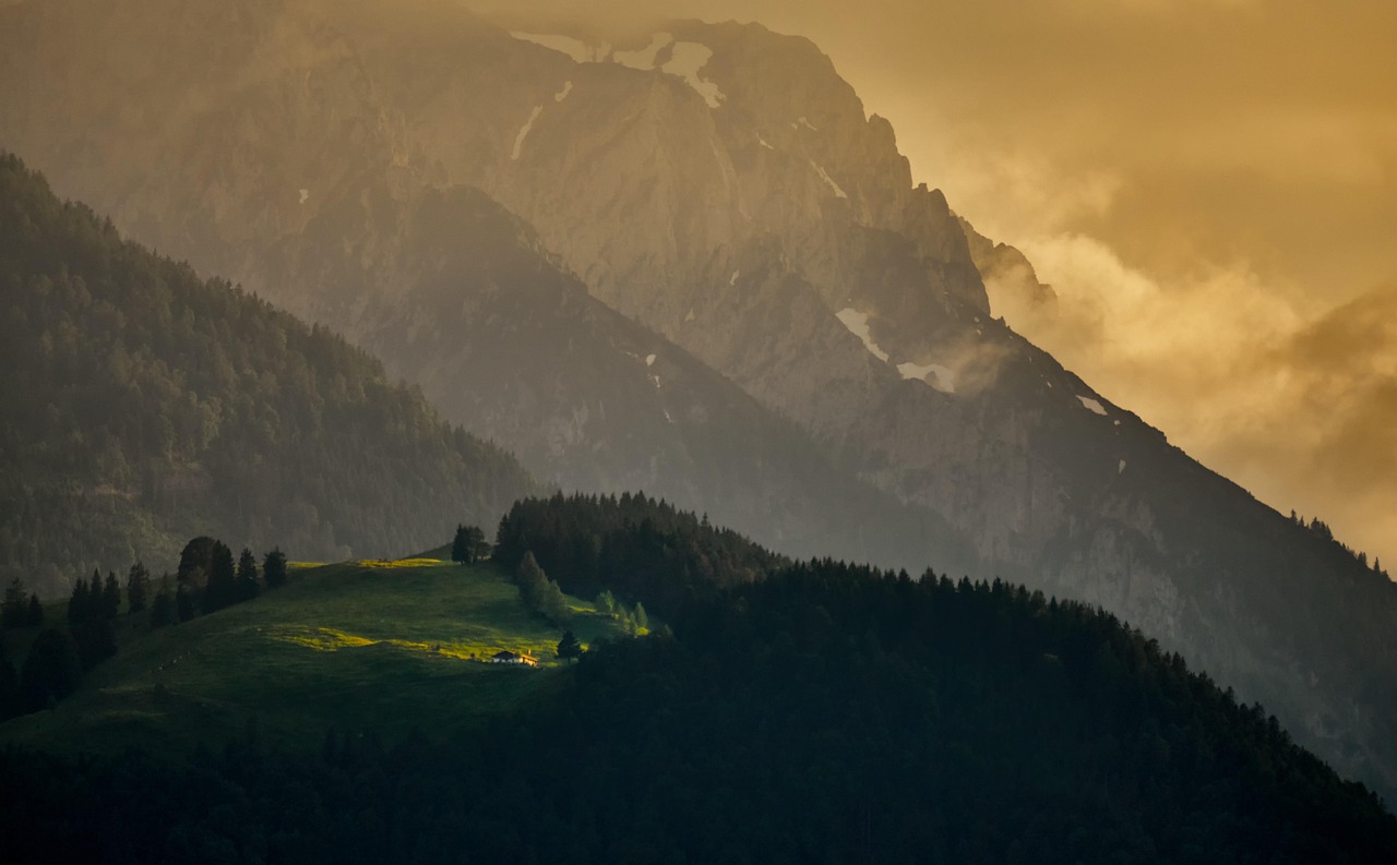 2025년 10월 셋째 주 띠별 운세