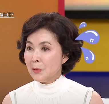 금보라 프로필