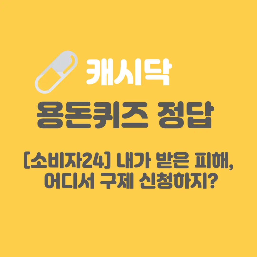 소비자24-캐시닥