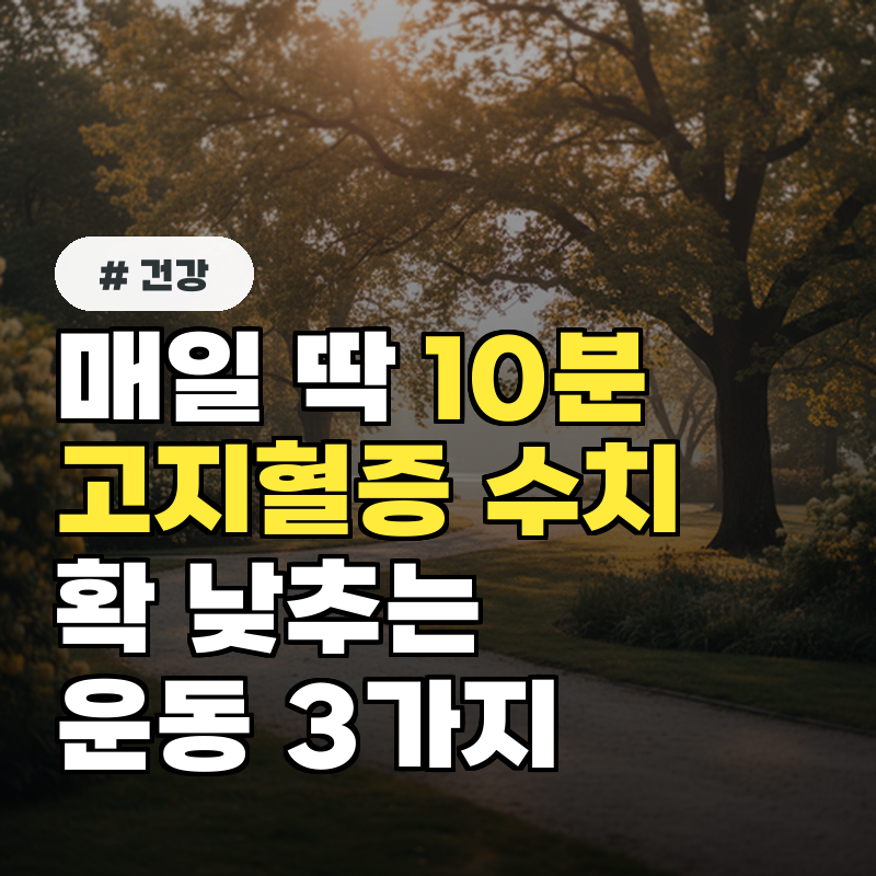 매일 딱 10분! 고지혈증 수치 낮추는 기적의 운동 3가지